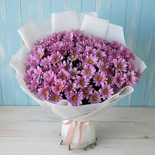 Букет цветов из:  Хризантемы #REPLACE_PRED# Чите