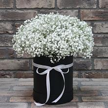 Цветочная композиция из Гипсофила в шляпной коробке #REPLACE_PRED# Чите